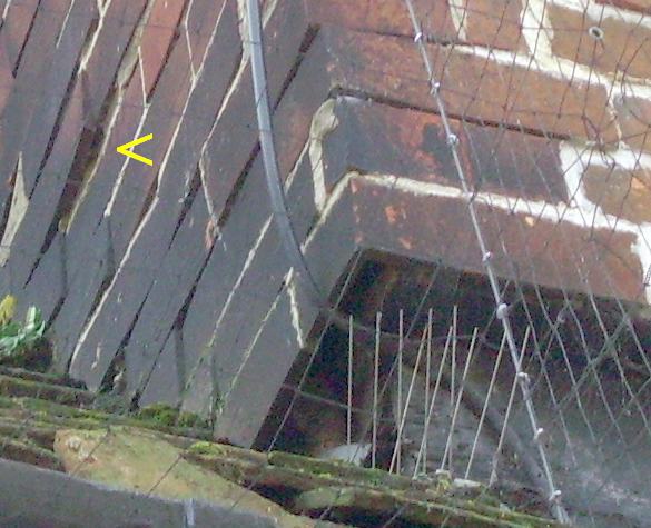  Mathematical Tiles, Dolphin Hotel, Southampton  